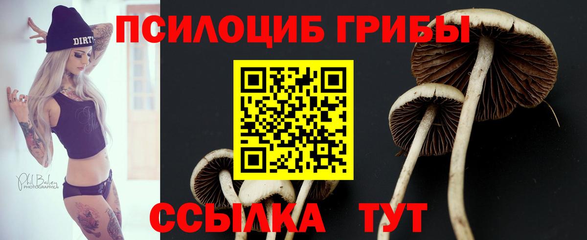 где продают наркотики  Псилоцибиновые грибы Psilocybine cubensis  Вход с VPN  Галлюциногенные грибы мухоморы  Керчь 